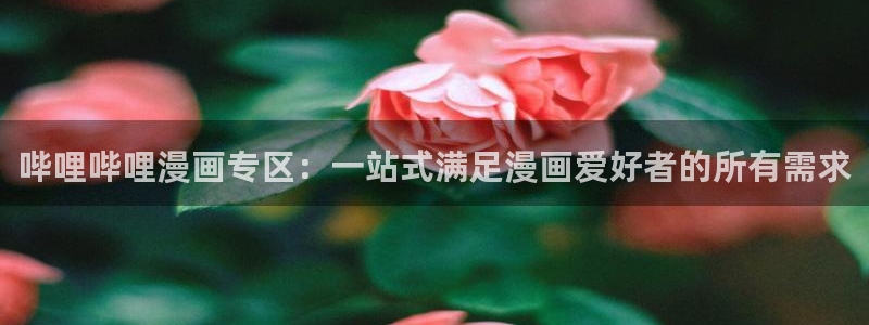 樱花风车动漫专注动漫的网站专注