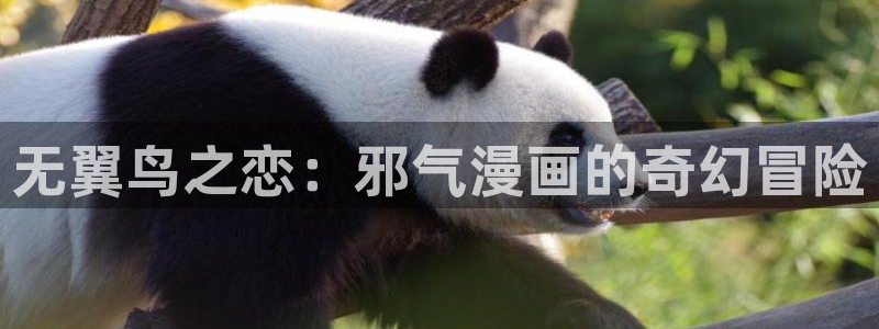 汗汗漫画免费动漫的门户网站：无