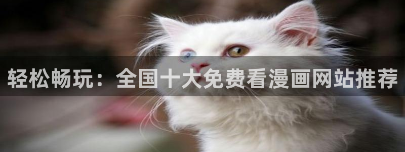 fate汗汗漫画：轻松畅玩：全国十大免费看漫画网站推荐