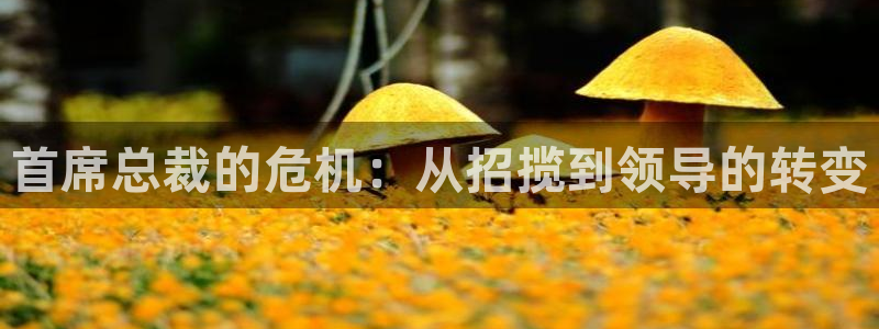 日常汗汗漫画：首席总裁的危机：